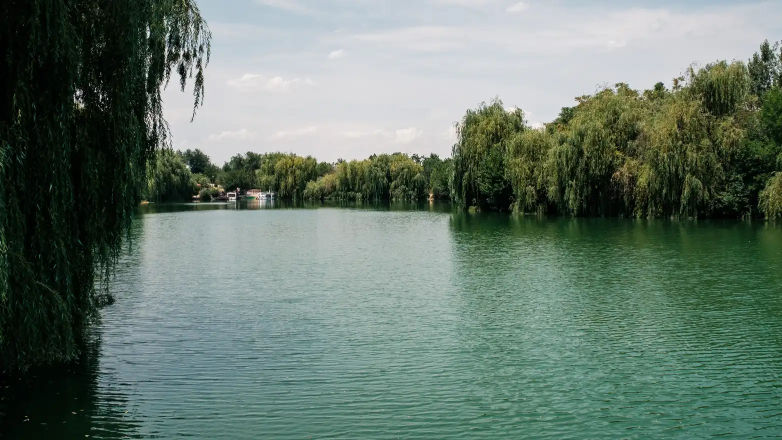 jezero v parku