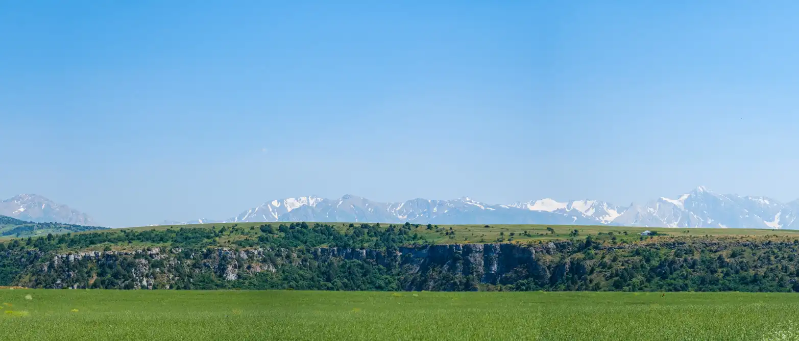 panorama zelené krajiny