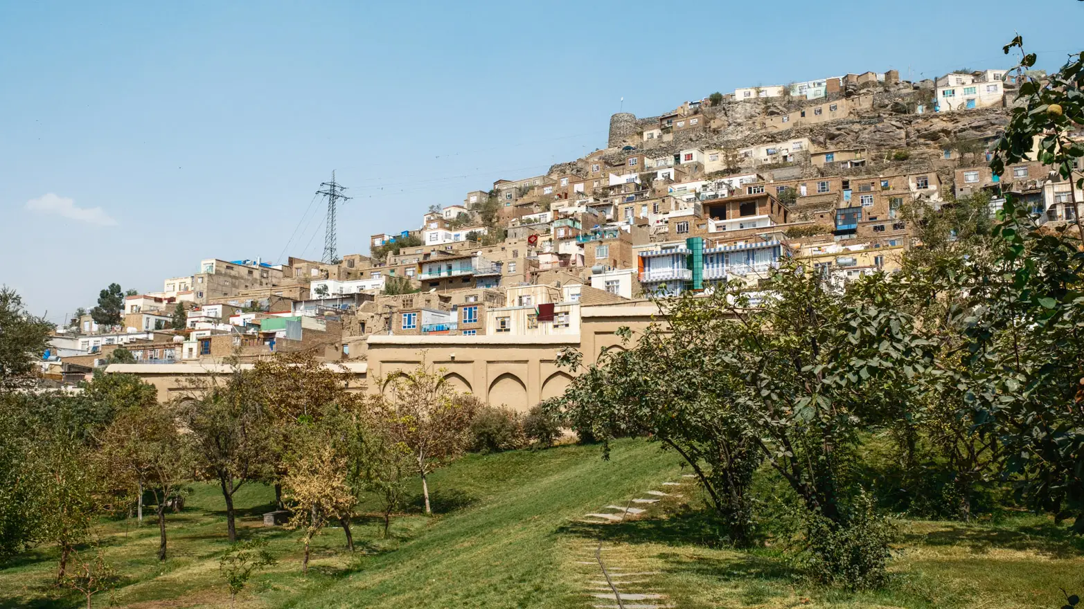 zeleň a městká zástavba