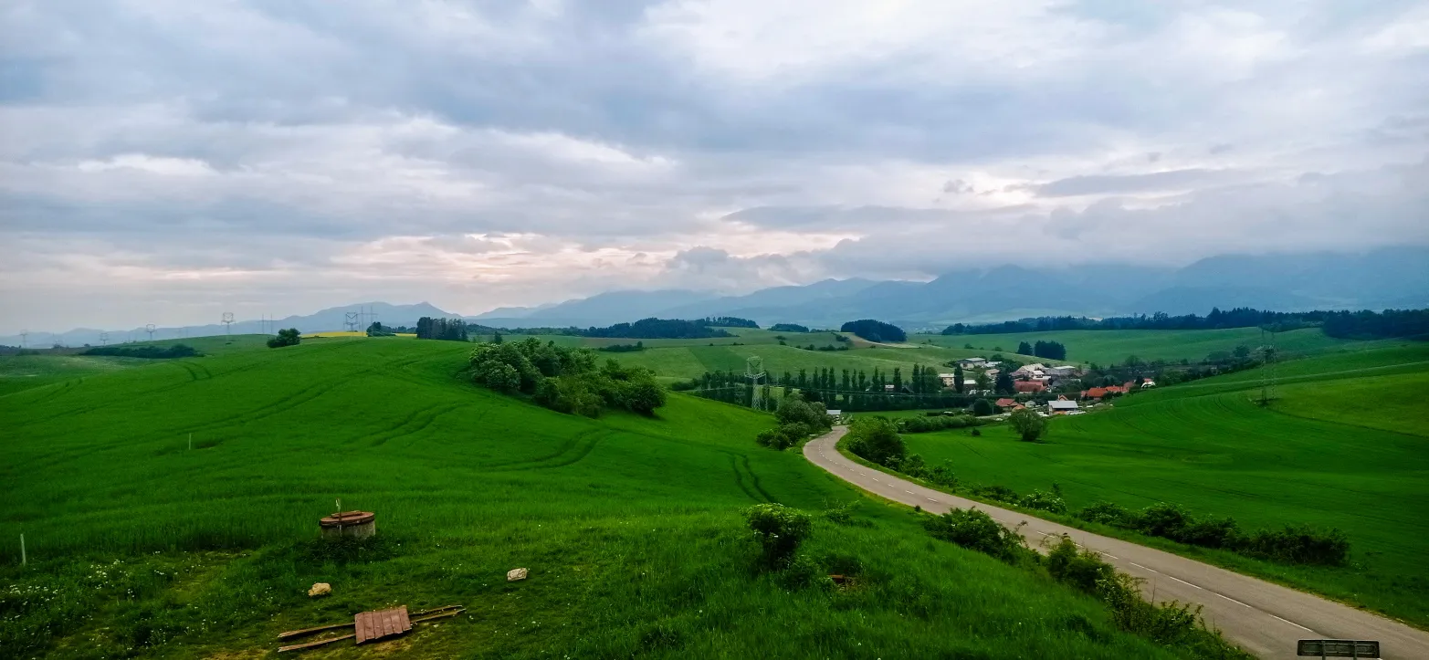 asfaltová cesta zvlněnými loukami