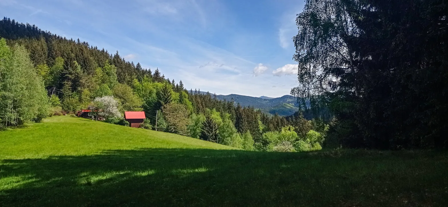 výhled do zelené krajiny