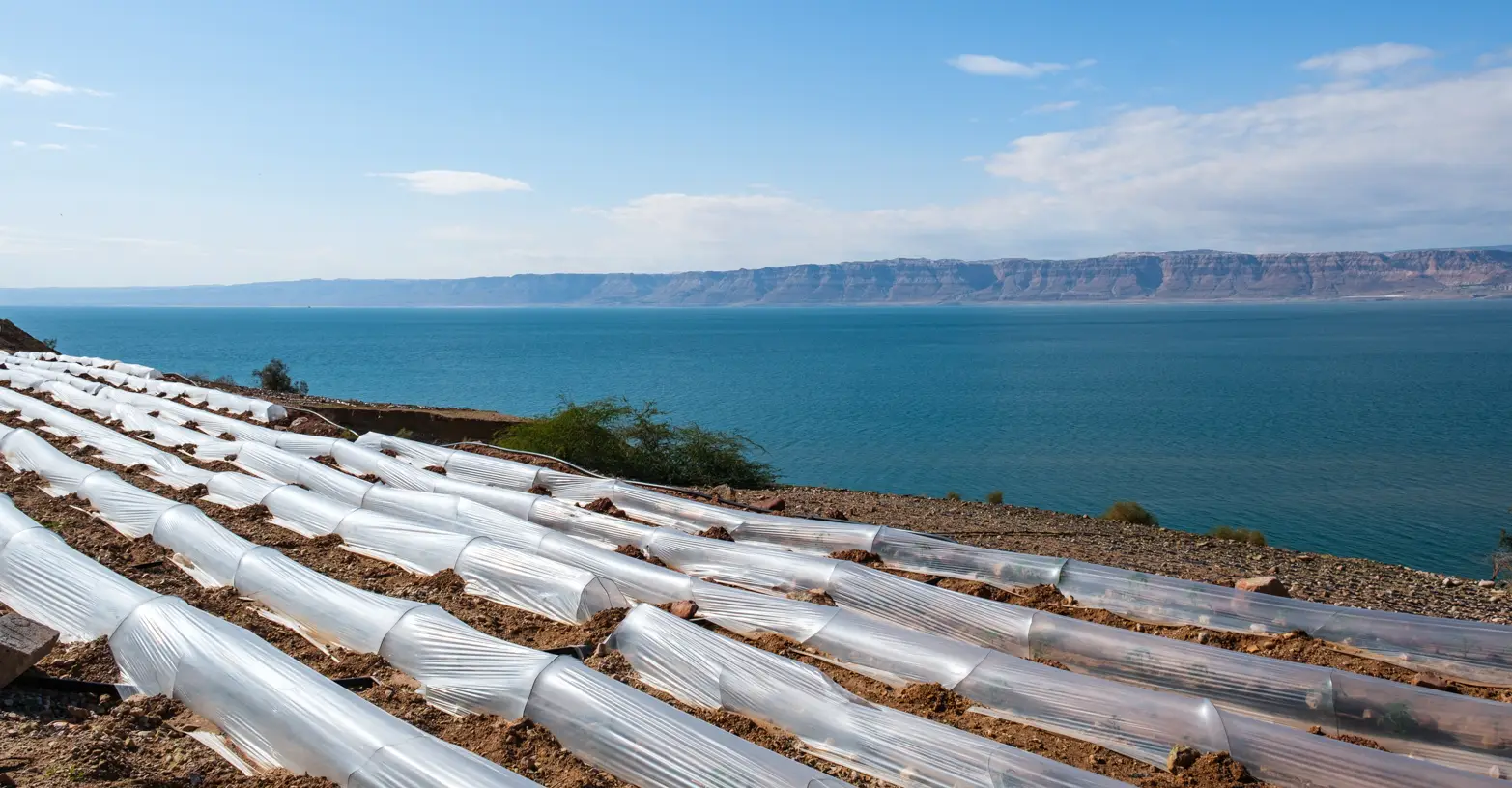 pařeníky nad jezerem