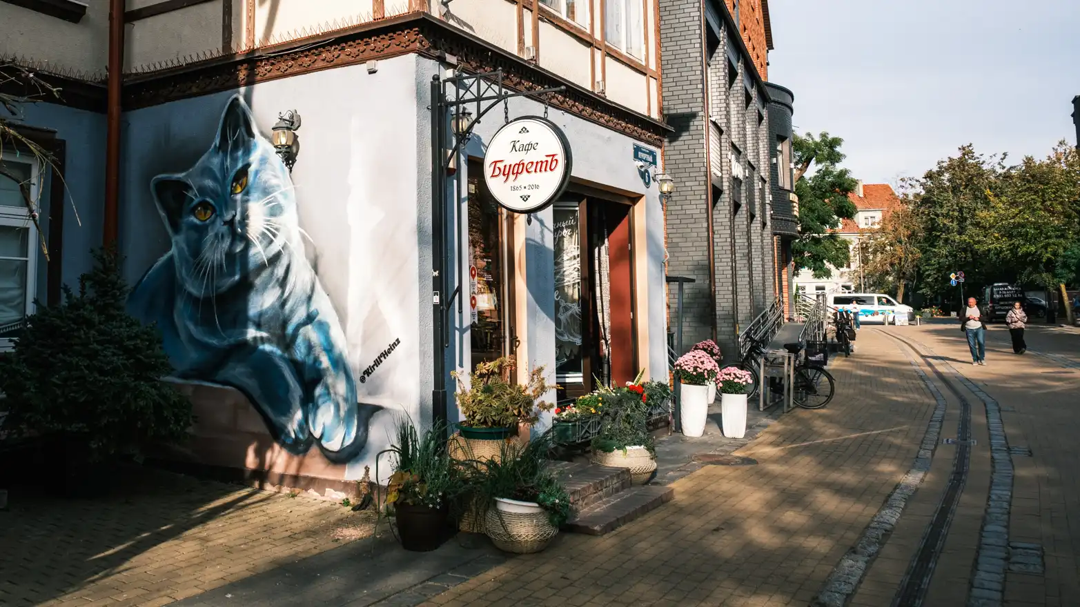 kočičí grafity na stěně domu