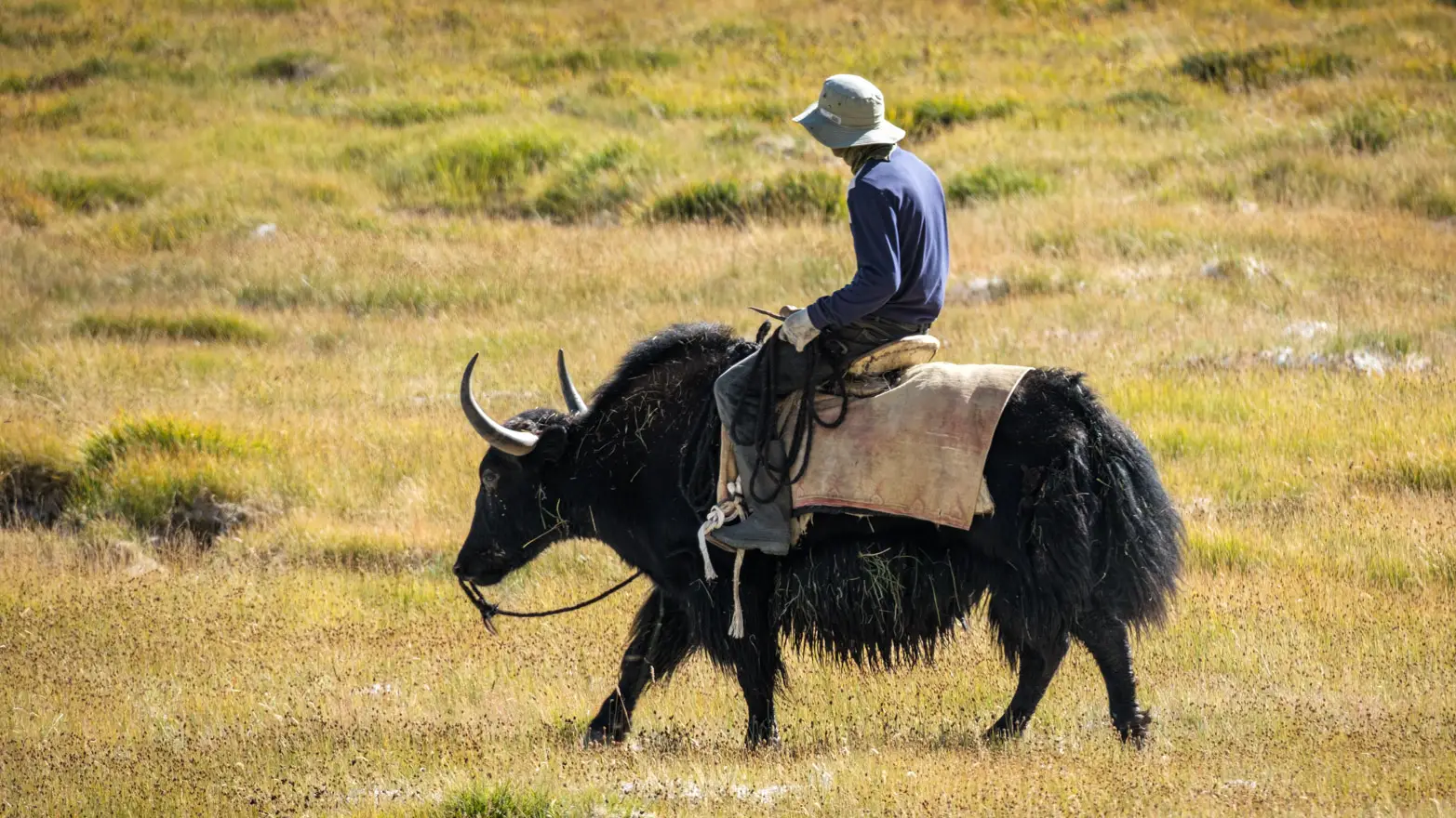 můž jedoucí na jakovi