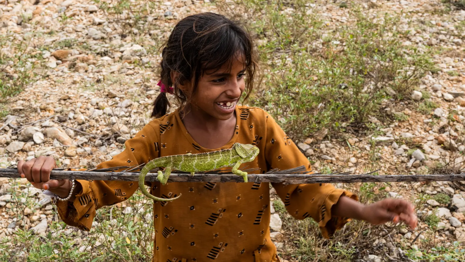 holčička držící chameleona na tyčce
